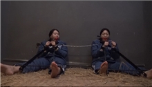 [Shengjing Film and Television] New Types of Fixed Female Prisoners
