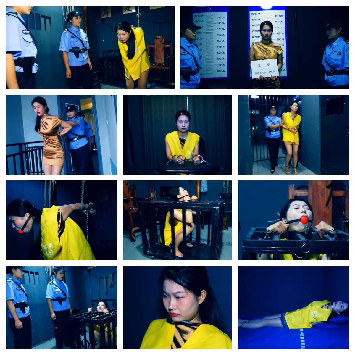 [Shengjing Film and Television] The Sorrow of Fa Chapter 1: Jin Li was discovered during drug trafficking. She took the risk of killing the person. She was arrested and refused to confess and was severely punished.