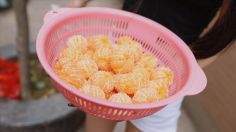 [H.P.L Qixin's Stack]—Zhiqing stepped on sugar orange cherry tomatoes