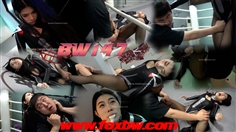 [FoxBW]BW—147