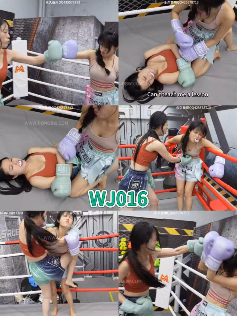 [NONOBW]WJ016